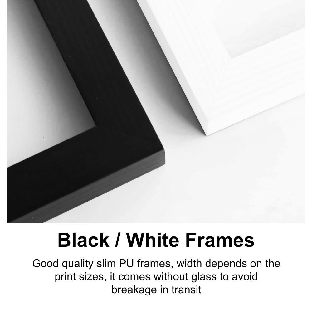 Black-white-frames