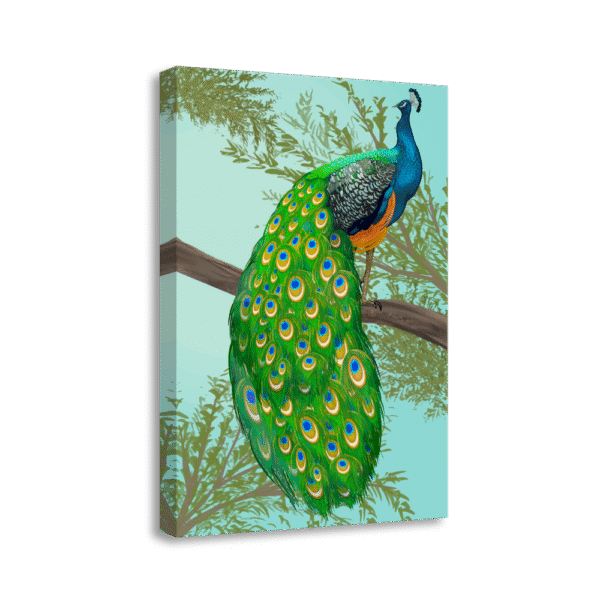 Peacock  | #0124
