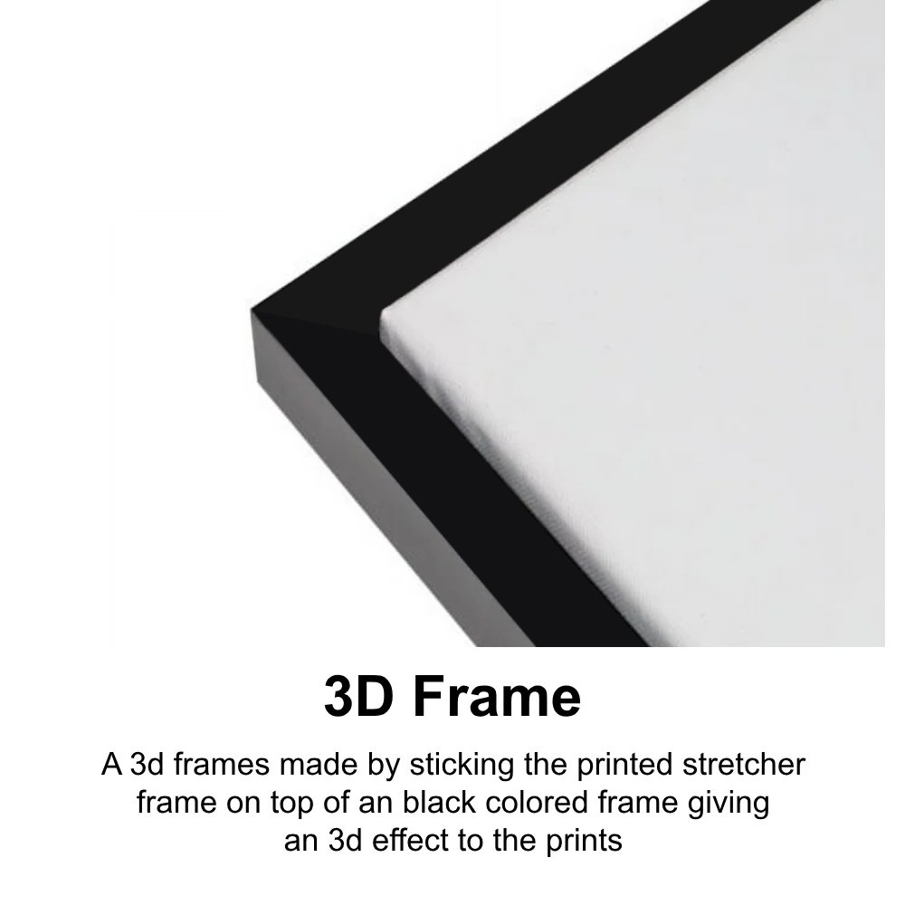 3d-frame